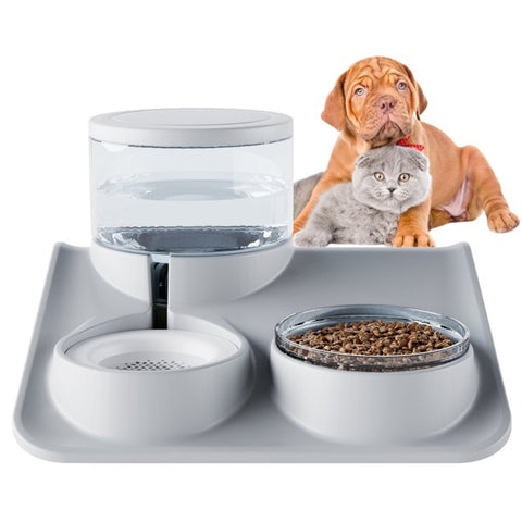 Tilted Cat Water and Food Bowl Set, Double Dog Cat Bowls with Automatic Waterer Bottle, Feeder Bowls, Food Feeding Dishes for Dogs Cats Pets (Pink)